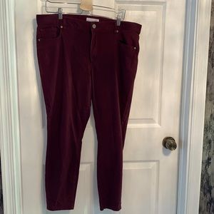 LOFT Burgandy Legging Jeans